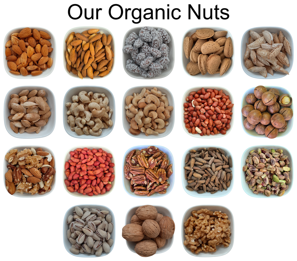 Dried Kiwi – Natural Organic Premium-quality + Free sample!