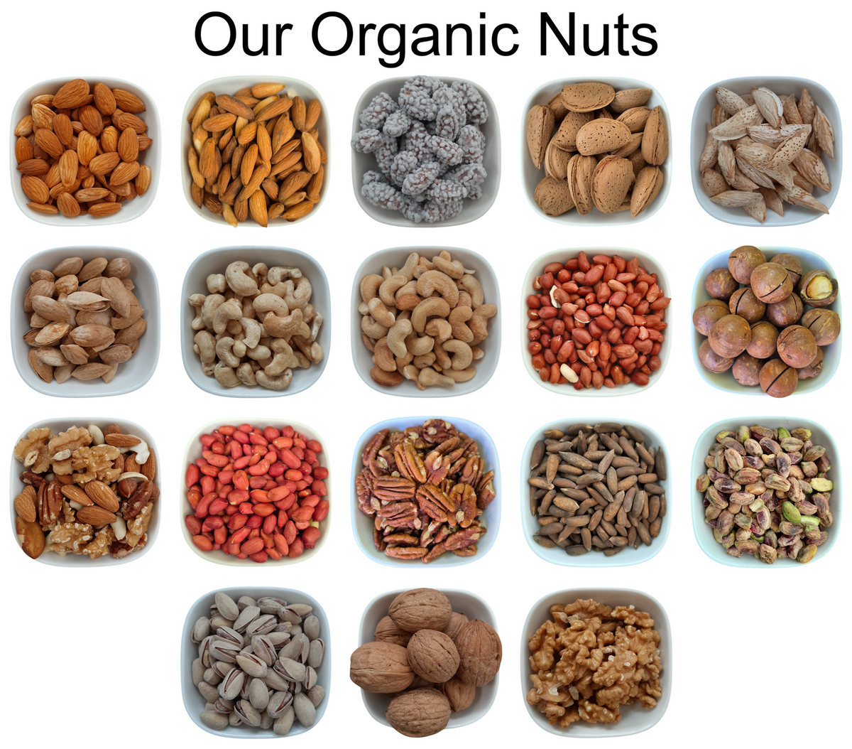 Dried Banana Chips – Natural Organic Premium-quality + Free sample!